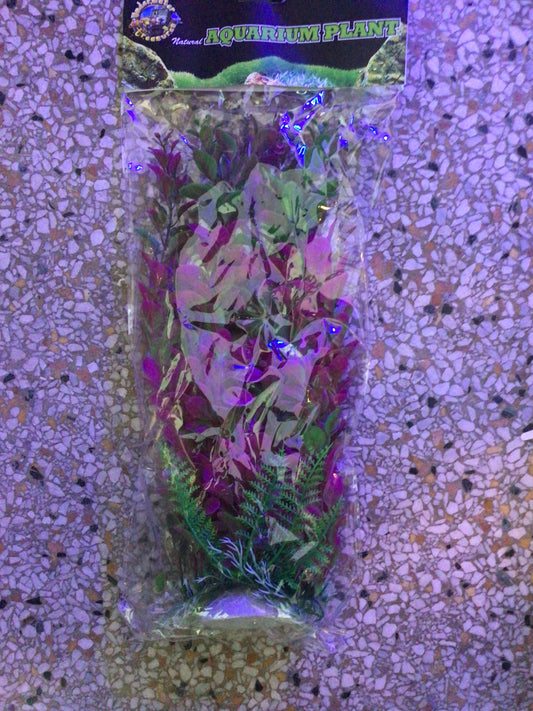 Pink Ludwigia 14”