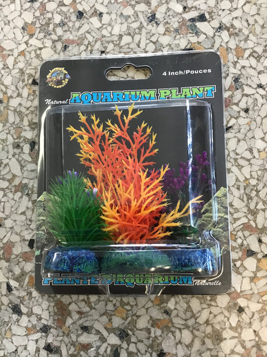 3 pack small plant 4”