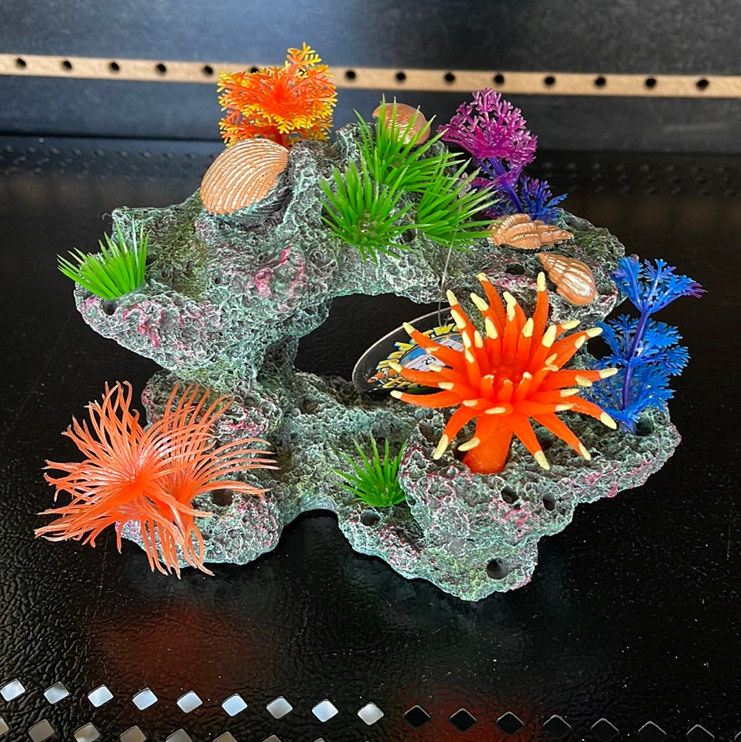 Underwater Reef Scene Small D