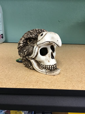 Birdman Skull