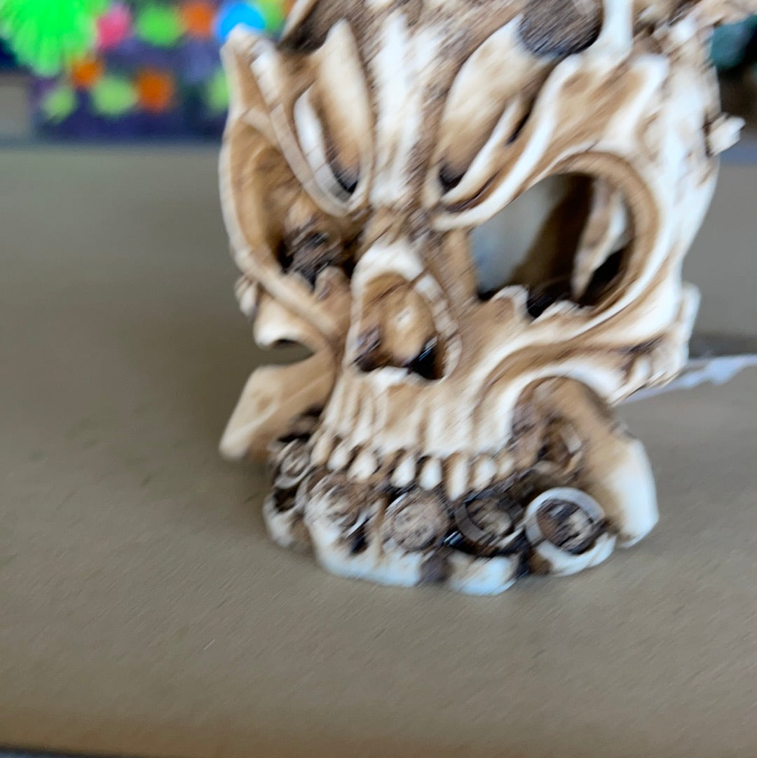 Underwater Treasures warrior skull