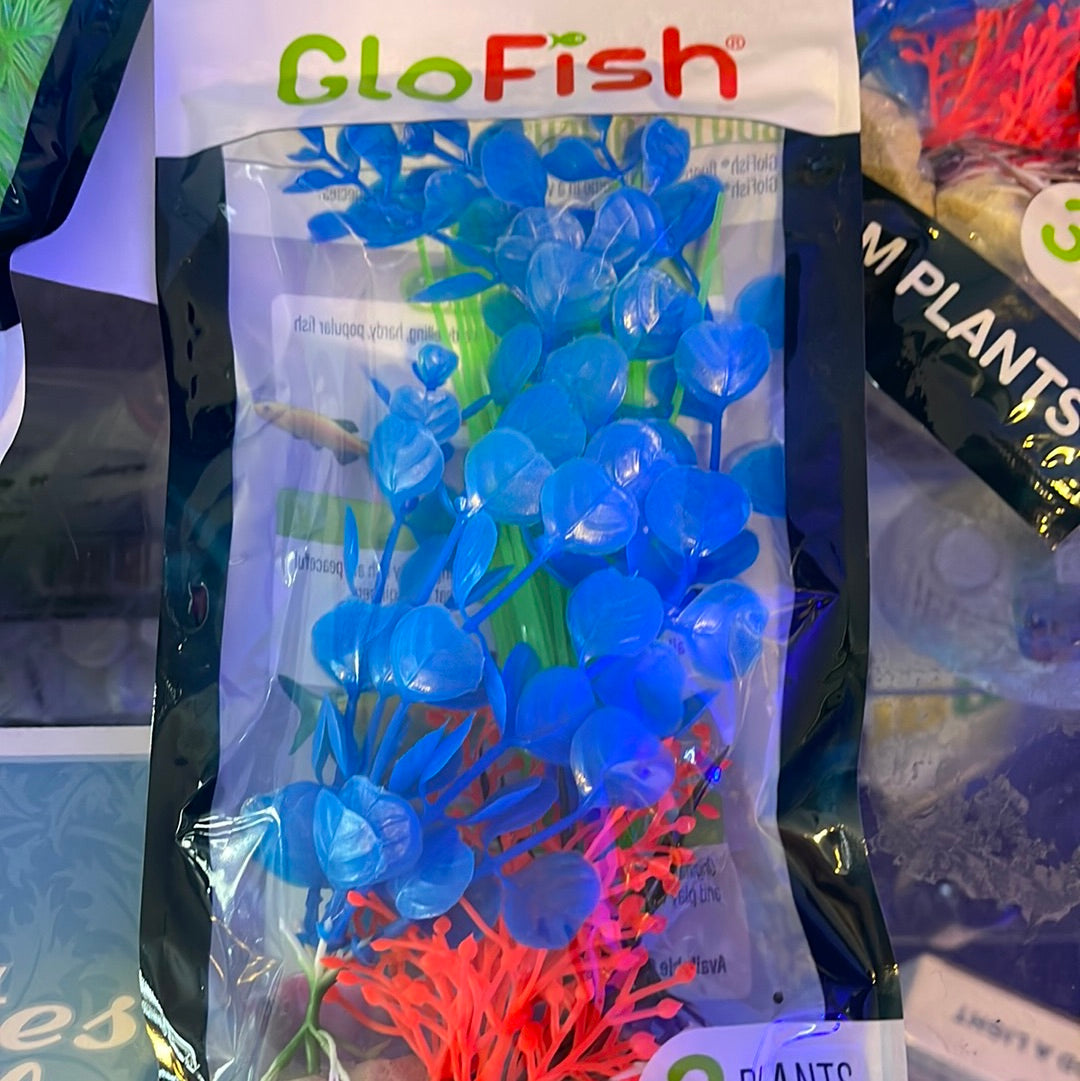 Glow Fish Plant Orange/Green/Blue 3 pack