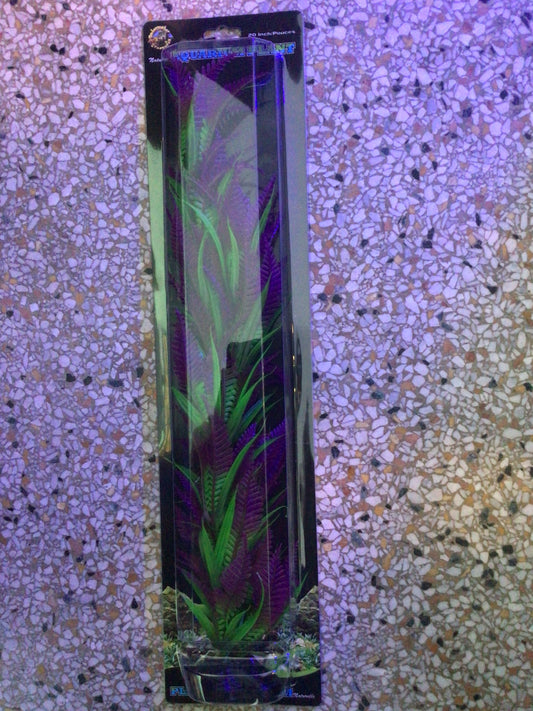 Lonely Heart Fern 20”