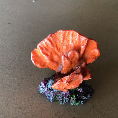 Underwater treasures acro coral orange small