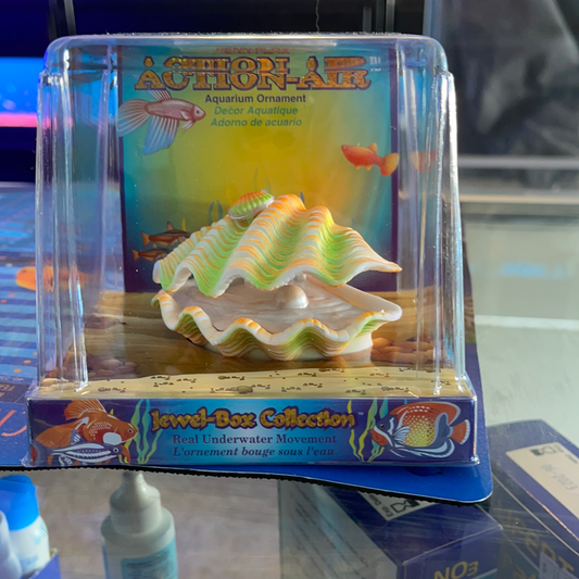 Tropical Clam