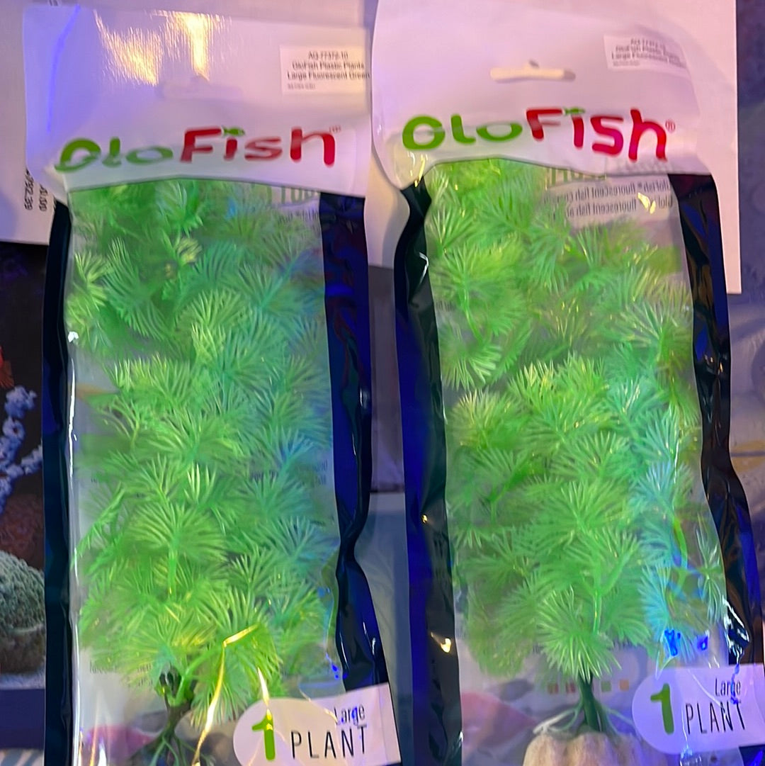 Glow Fish Green Plant Large