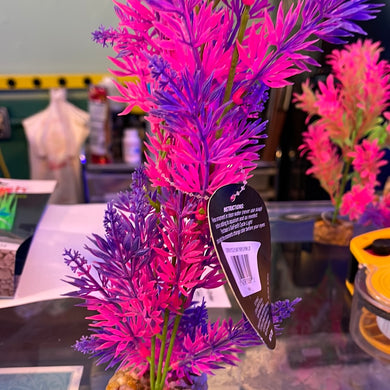 Glow Fish Cycle Plant Purple/Pink Large