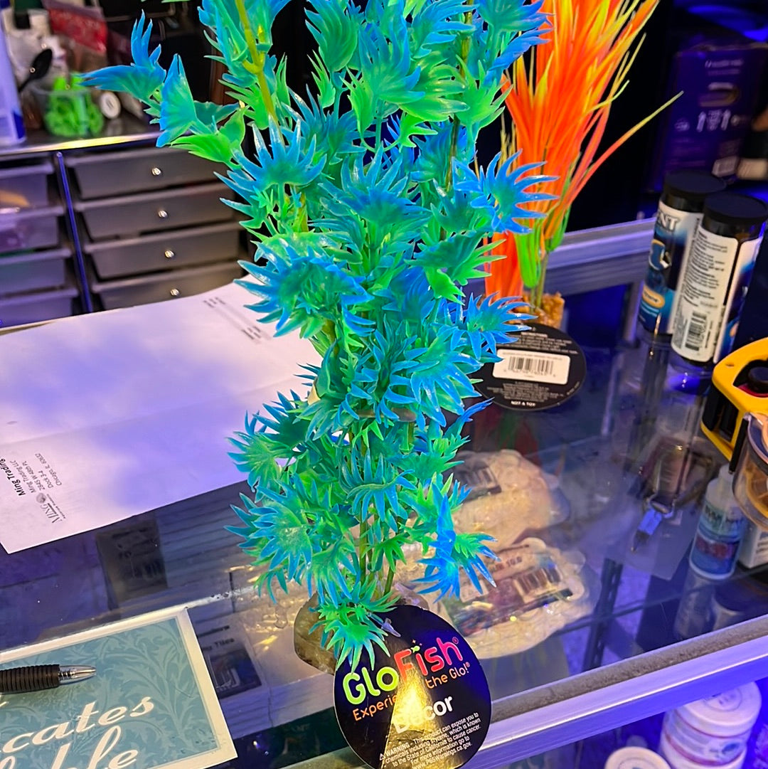 Glow Fish Cycle Plant Green/Blue XLarge