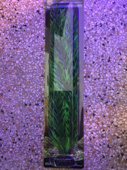 Green bamboo 20”