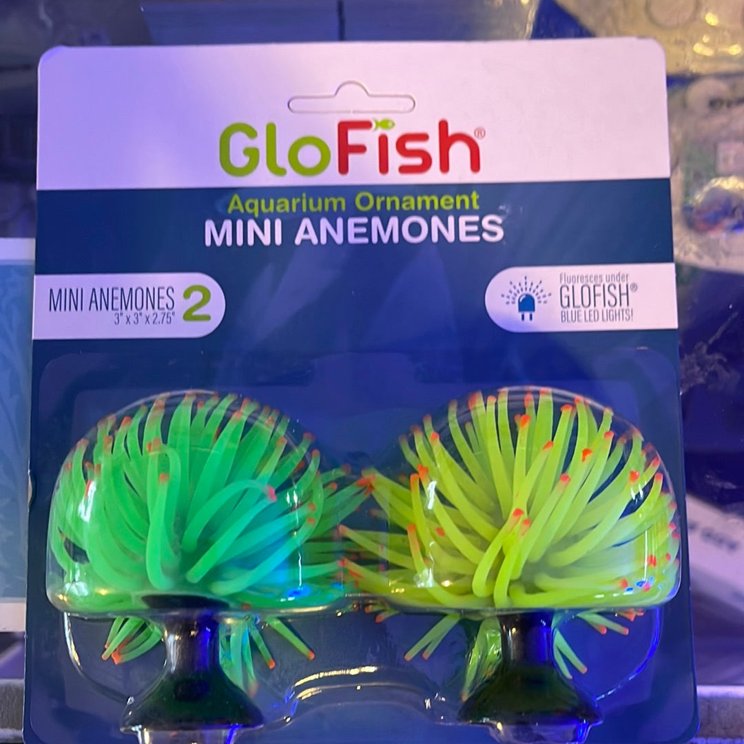 Glow Fish Anemone Yellow/Green Mini 2 pack