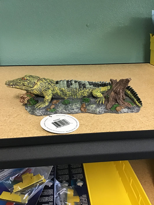 Laughing Gator