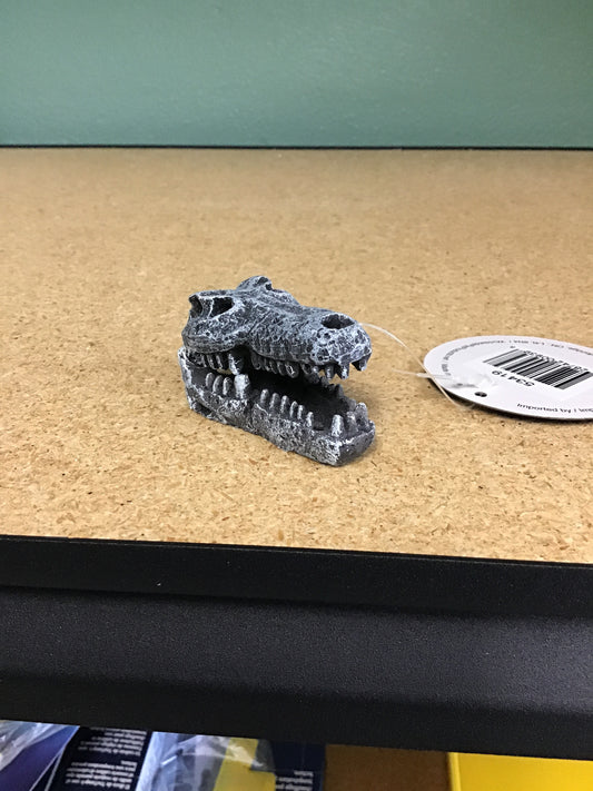 Mini Croc Skull