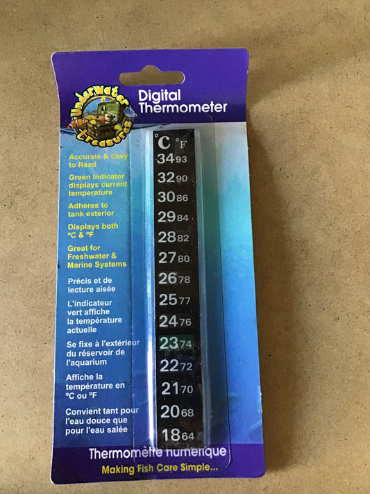 Digital Thermometer