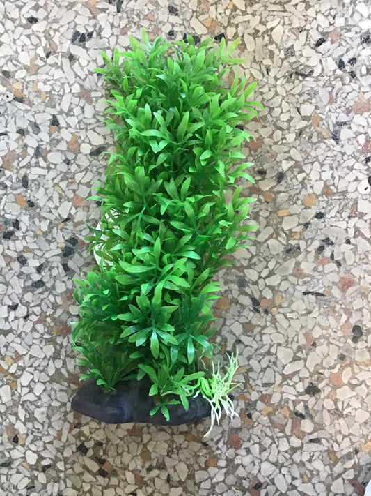 Green Bush 7”