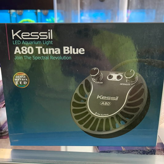 kessil a80 tuna blue
